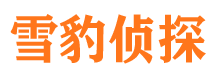 晴隆市场调查